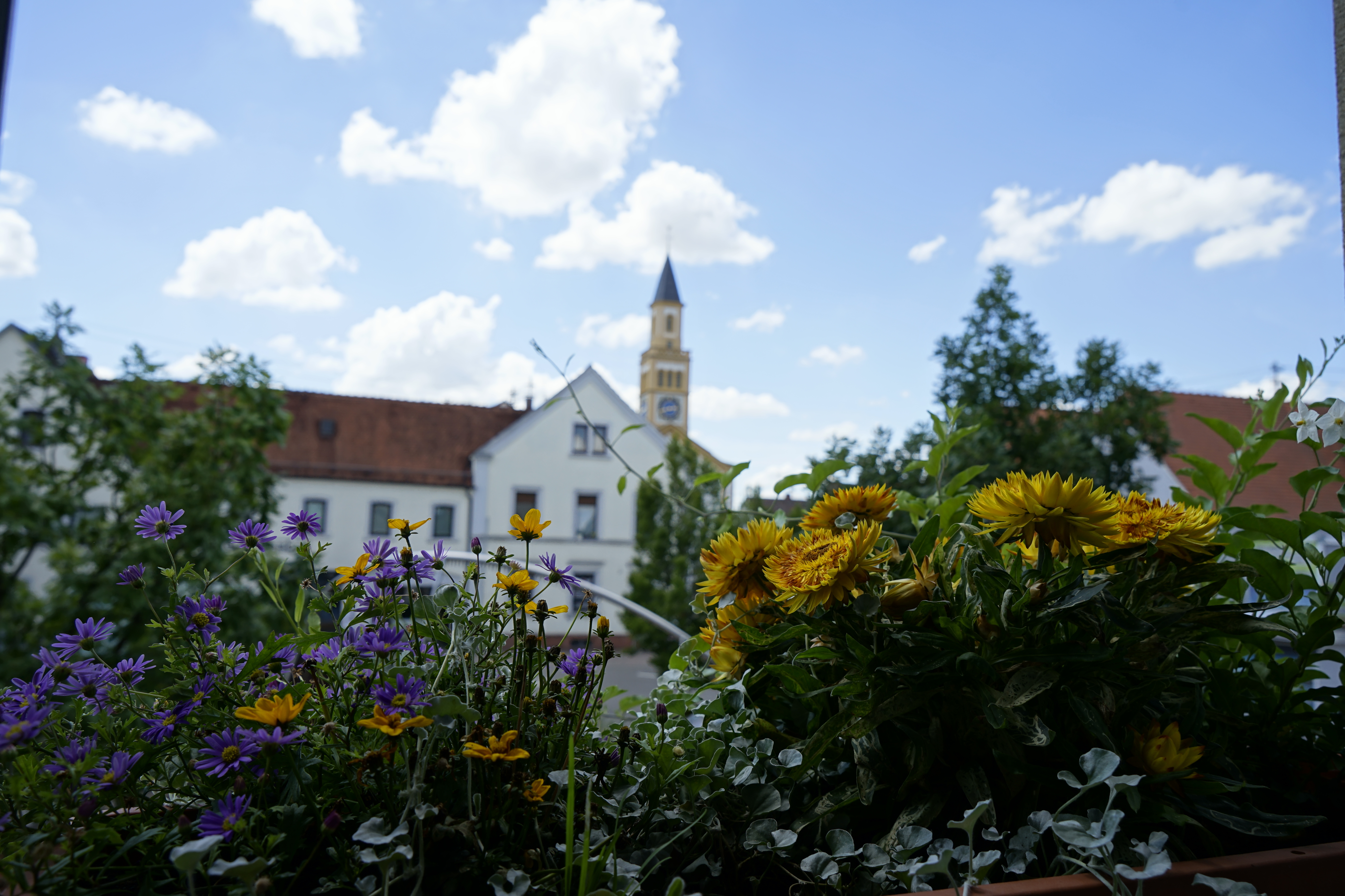 Porträt | Verbandsgemeinde Lingenfeld