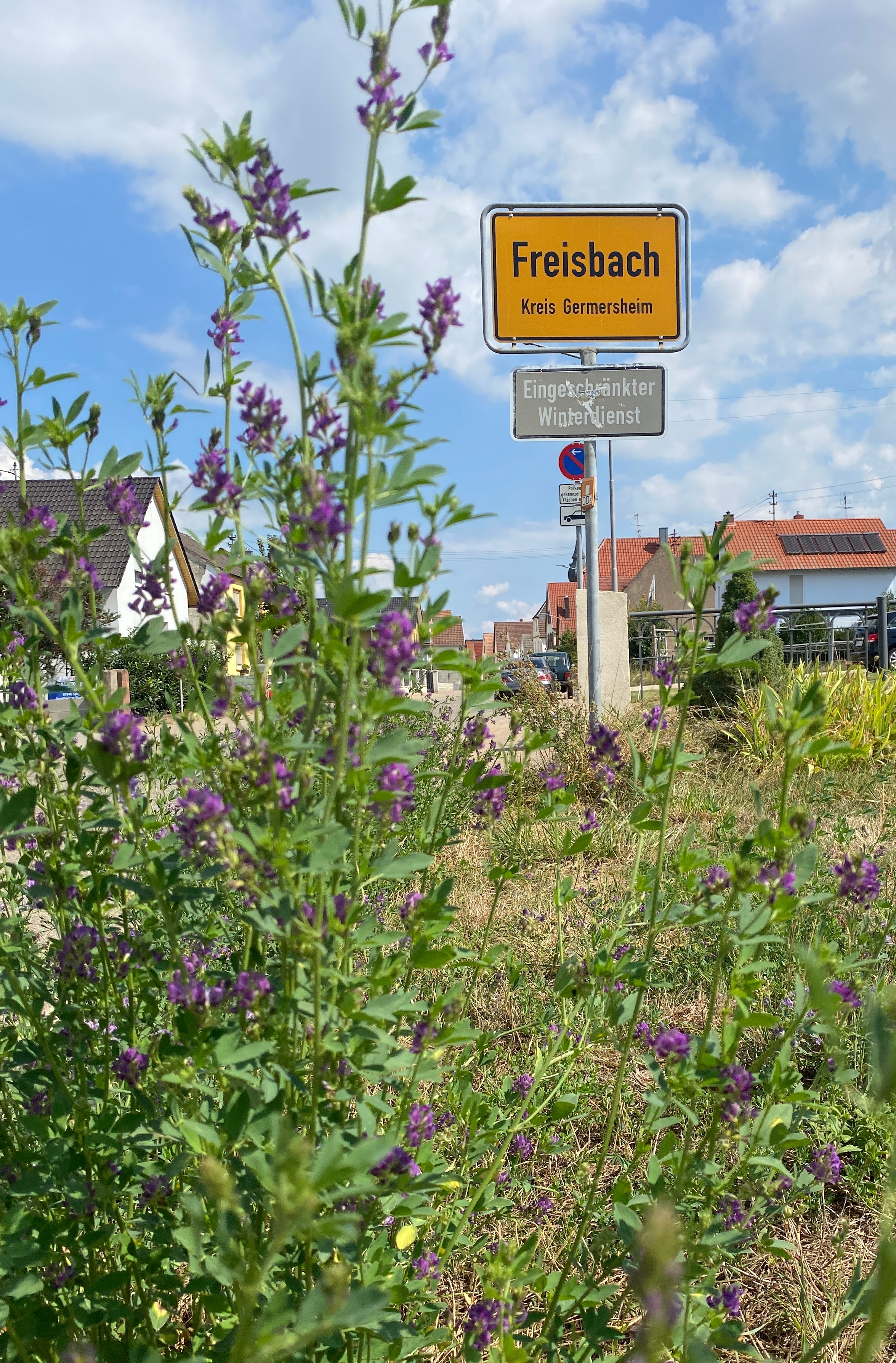 Gemeinderat Freisbach | Verbandsgemeinde Lingenfeld