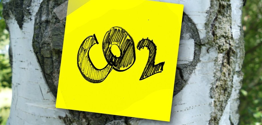 Zettel an Baum mit der Aufschrift CO2