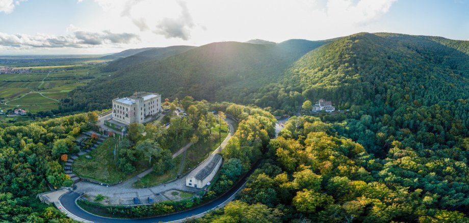 Per Mausklick die Pfalz erleben mit der 360°-Panoramatour